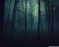 /album/zaujimave-obrazky/dark-forest-wallpaper-1280x1024-jpg/