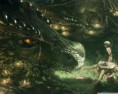 /album/zaujimave-obrazky/fantasy-dragon-wallpaper-1280x1024-jpg/