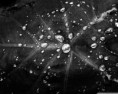 /album/zaujimave-obrazky/rain-drops-12-wallpaper-1280x1024-jpg/