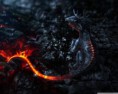 /album/zaujimave-obrazky/salamander-artwork-wallpaper-1280x1024-jpg/